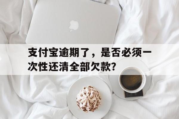 支付宝逾期了，是否必须一次性还清全部欠款？