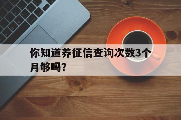 你知道养征信查询次数3个月够吗？