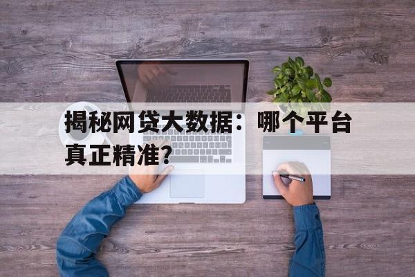 揭秘网贷大数据：哪个平台真正精准？