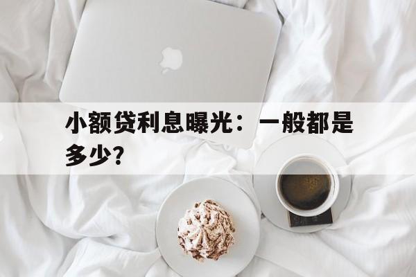 小额贷利息曝光：一般都是多少？