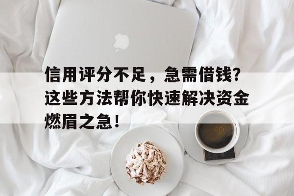 信用评分不足，急需借钱？这些方法帮你快速解决资金燃眉之急！