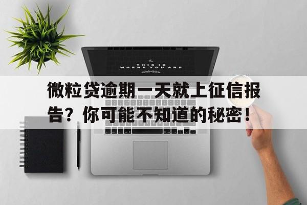 微粒贷逾期一天就上征信报告？你可能不知道的秘密！