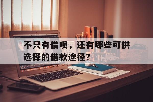 不只有借呗，还有哪些可供选择的借款途径？