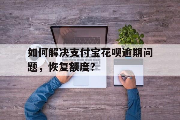 如何解决支付宝花呗逾期问题，恢复额度？