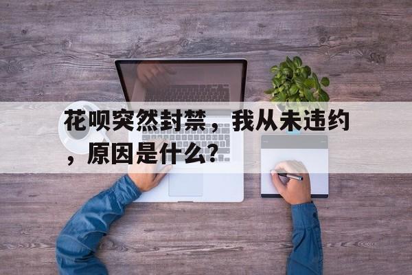 花呗突然封禁，我从未违约，原因是什么？