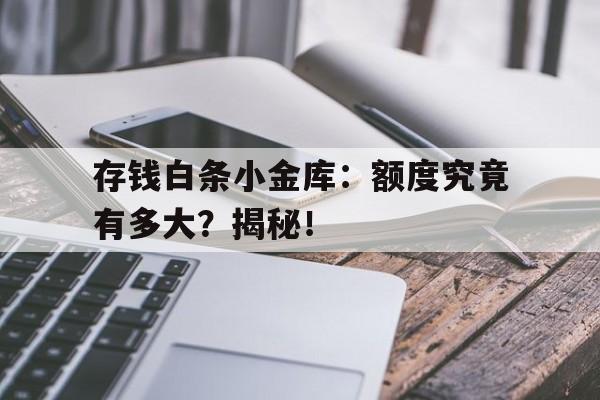 存钱白条小金库：额度究竟有多大？揭秘！