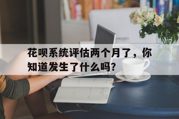 花呗系统评估两个月了，你知道发生了什么吗？