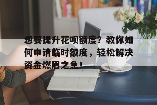 想要提升花呗额度？教你如何申请临时额度，轻松解决资金燃眉之急！