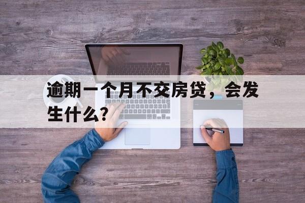 逾期一个月不交房贷，会发生什么？