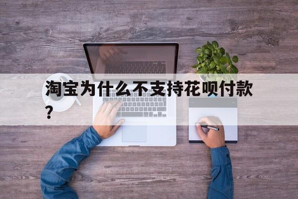 淘宝为什么不支持花呗付款？