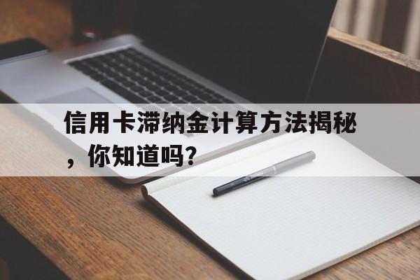 信用卡滞纳金计算方法揭秘，你知道吗？