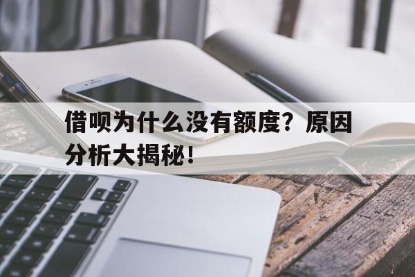 借呗为什么没有额度？原因分析大揭秘！