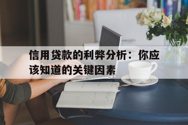 信用贷款的利弊分析：你应该知道的关键因素