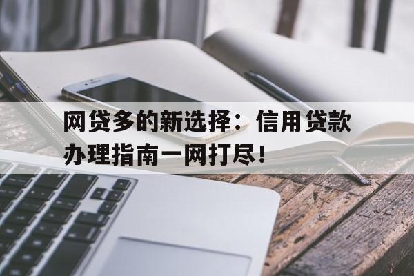 网贷多的新选择：信用贷款办理指南一网打尽！