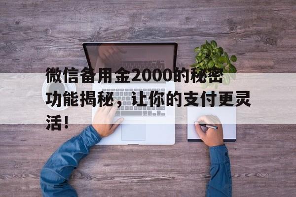 微信备用金2000的秘密功能揭秘，让你的支付更灵活！