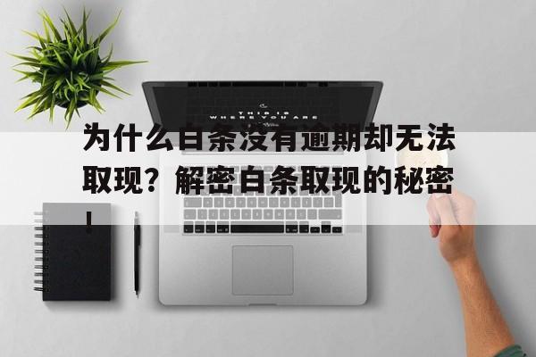 为什么白条没有逾期却无法取现？解密白条取现的秘密！