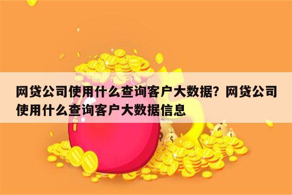 网贷公司使用什么查询客户大数据？网贷公司使用什么查询客户大数据信息