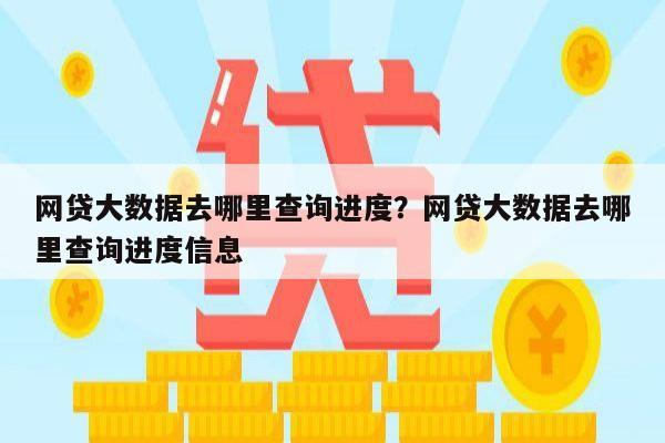 网贷大数据去哪里查询进度？网贷大数据去哪里查询进度信息