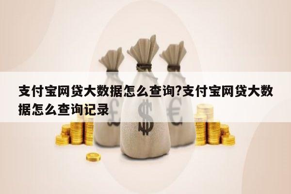 支付宝网贷大数据怎么查询?支付宝网贷大数据怎么查询记录