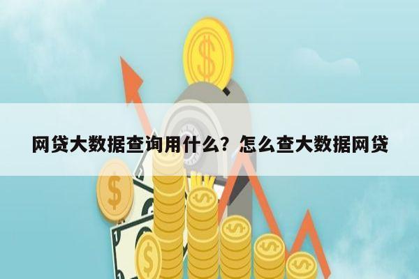 网贷大数据查询用什么？怎么查大数据网贷