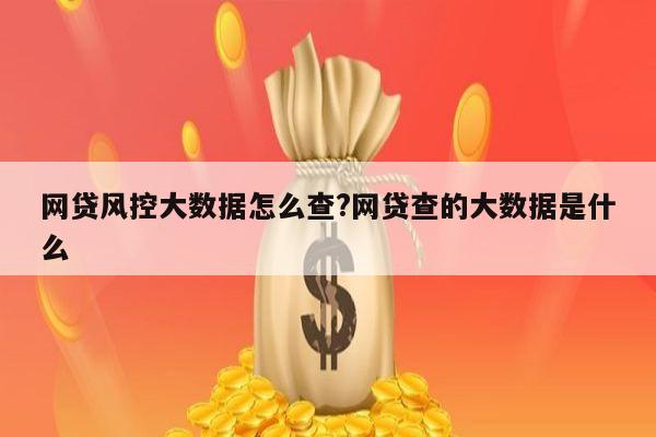 网贷风控大数据怎么查?网贷查的大数据是什么