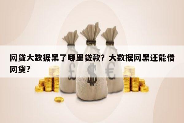 网贷大数据黑了哪里贷款？大数据网黑还能借网贷?