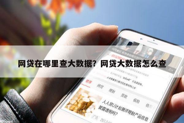 网贷在哪里查大数据？网贷大数据怎么查