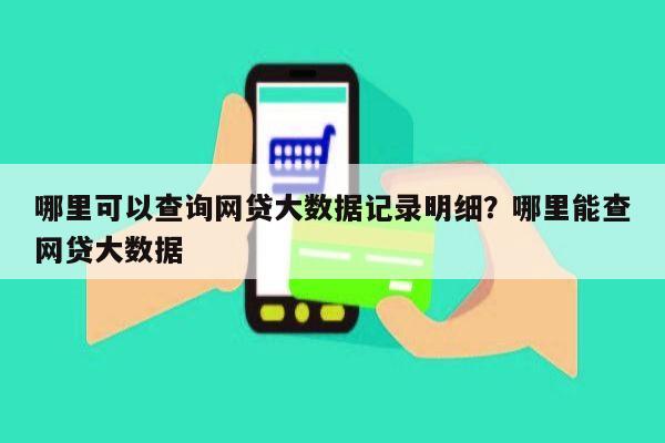 哪里可以查询网贷大数据记录明细？哪里能查网贷大数据