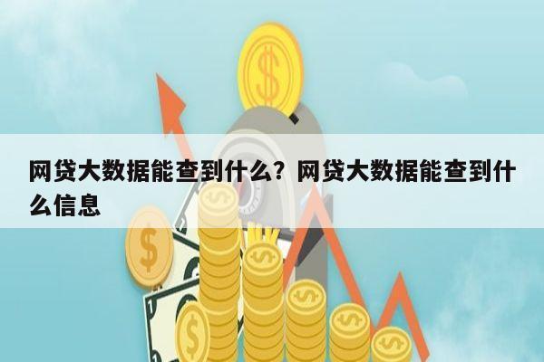 网贷大数据能查到什么？网贷大数据能查到什么信息