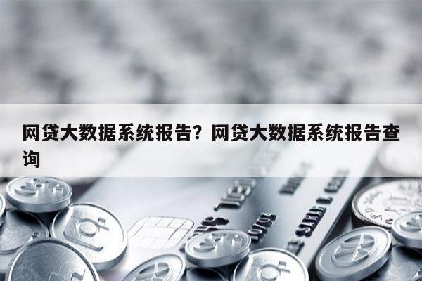 网贷大数据系统报告？网贷大数据系统报告查询