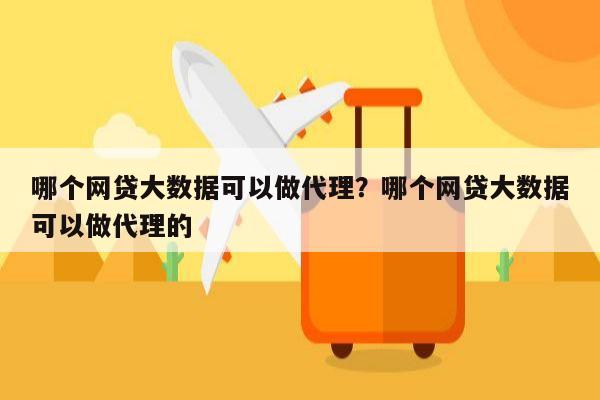 哪个网贷大数据可以做代理？哪个网贷大数据可以做代理的