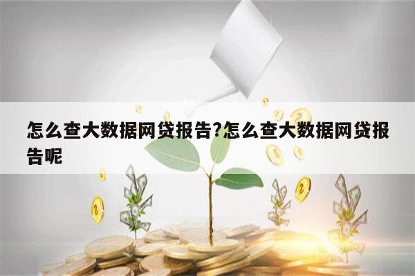 怎么查大数据网贷报告?怎么查大数据网贷报告呢