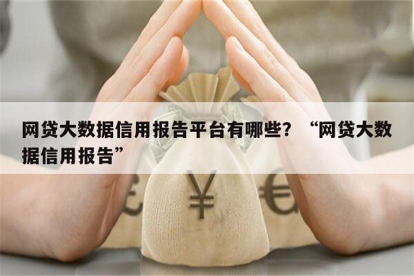 网贷大数据信用报告平台有哪些？“网贷大数据信用报告”