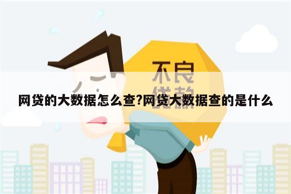 网贷的大数据怎么查?网贷大数据查的是什么