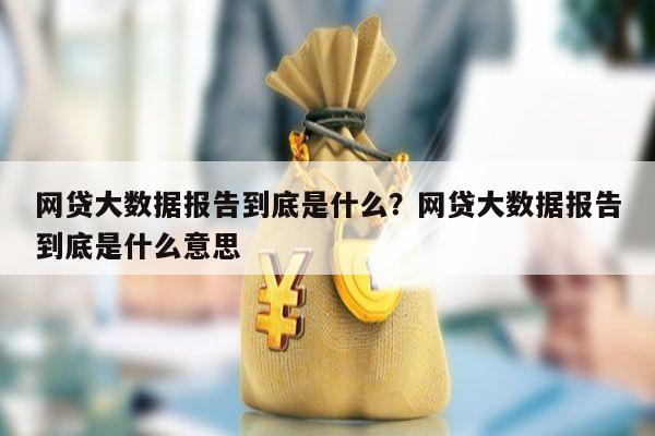 网贷大数据报告到底是什么？网贷大数据报告到底是什么意思