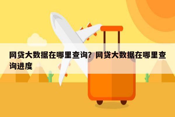 网贷大数据在哪里查询？网贷大数据在哪里查询进度