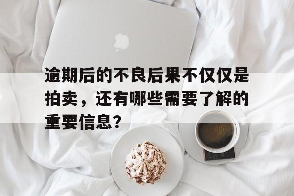 逾期后的不良后果不仅仅是拍卖，还有哪些需要了解的重要信息？