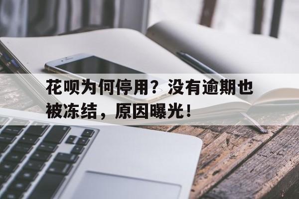 花呗为何停用？没有逾期也被冻结，原因曝光！