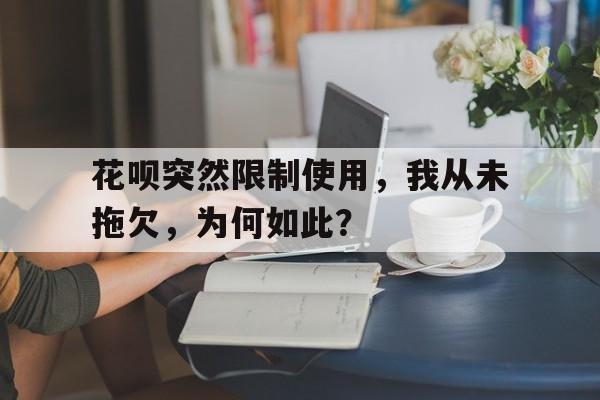 花呗突然限制使用，我从未拖欠，为何如此？