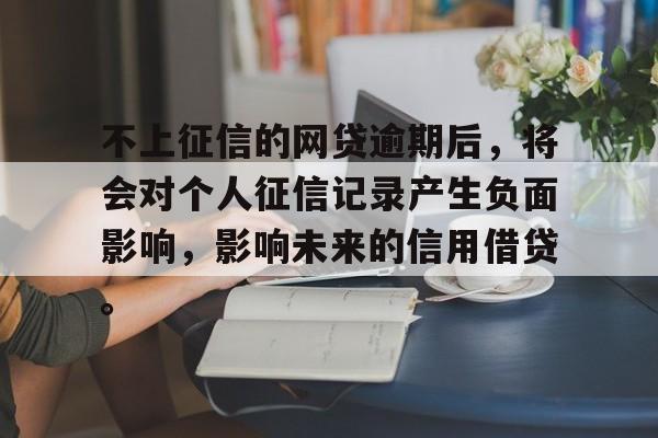 不上征信的网贷逾期后，将会对个人征信记录产生负面影响，影响未来的信用借贷。