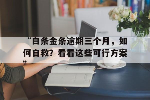 “白条金条逾期三个月，如何自救？看看这些可行方案”